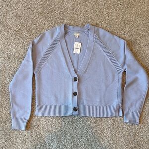 J Crew Wisteria V-Neck Cardigan
